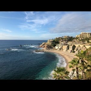 Meet your Posher, Elsa